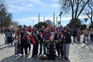 Istanbul: Private 7 to 9 hours Fully Guided Shore Excursion