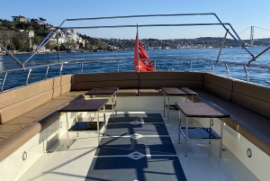 Istanbul: Private Bosphorus Boat Cruise