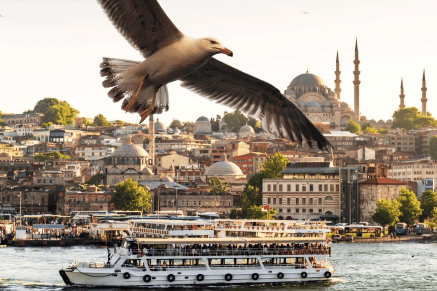 Istanbul: Private Bosphorus Cruise By Luxury Yacht