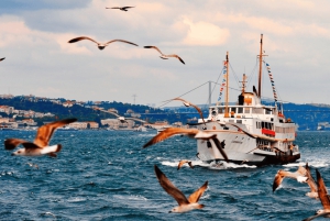 Istanbul: Private Bosphorus Cruise By Luxury Yacht