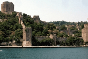 Istanbul: Private Bosphorus Cruise By Luxury Yacht