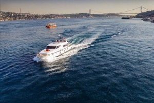 Istanbul: Private Bosphorus Cruise on a Luxurious Yacht
