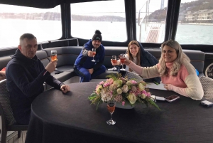 Istanbul: Private Bosphorus Cruise on a Luxurious Yacht