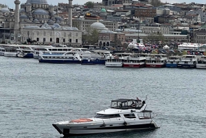 Istanbul: Private Bosphorus Cruise on Luxury Yacht