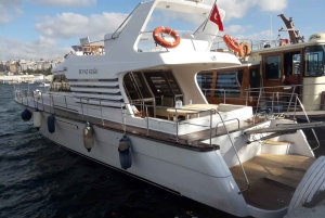 Istanbul: Private Bosphorus Strait Sightseeing Yacht Cruise