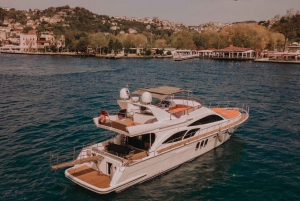 Istanbul: Private Bosphorus Tour on Luxury Yacht w/transfer