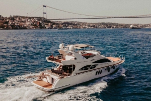 Istanbul: Private Bosphorus Tour on Luxury Yacht w/transfer
