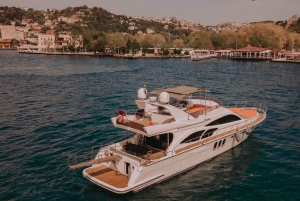Istanbul: Private Bosphorus Tour on Luxury Yacht w/transfer