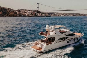 Istanbul: Private Bosphorus Tour on Luxury Yacht w/transfer