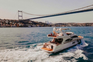 Istanbul: Private Bosphorus Tour on Luxury Yacht w/transfer
