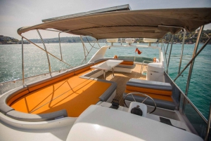 Istanbul: Private Bosphorus Tour on Luxury Yacht w/transfer