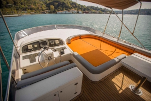 Istanbul: Private Bosphorus Tour on Luxury Yacht w/transfer