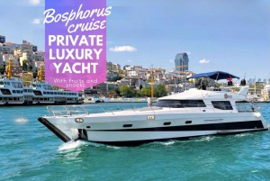 Istanbul: Private Bosphorus Cruise on Luxury Yacht