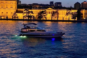 Istanbul: Private Bosphorus Cruise on Luxury Yacht