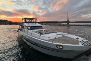 Istanbul: Private Bosphorus Cruise on Luxury Yacht