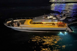 Istanbul: Private Bosphorus Cruise on Luxury Yacht