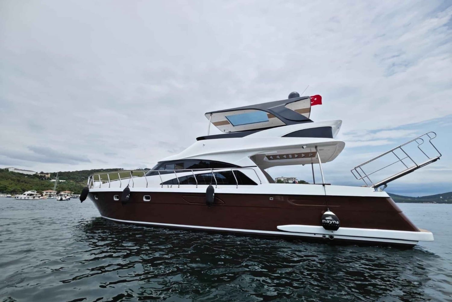 Istanbul: Private Bosphorus Yacht with Tour Guide and Snacks