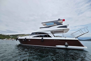 Istanbul: Private Bosphorus Yacht with Tour Guide and Snacks