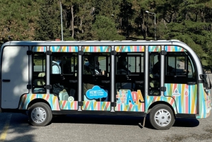 Istanbul: Private Car with Driver