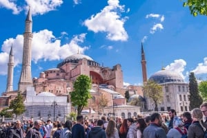Istanbul: Private City Highlights Guided Tour