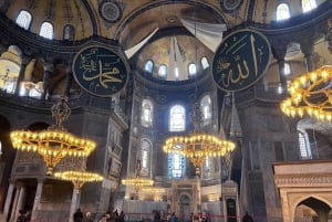 Istanbul: Private City Tour with Transportation