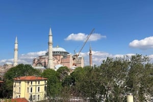 Istanbul: Private City Tour with Transportation