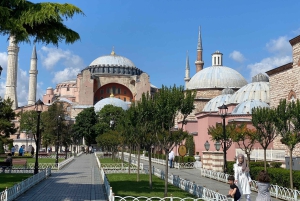 Istanbul: Private Guided Tour