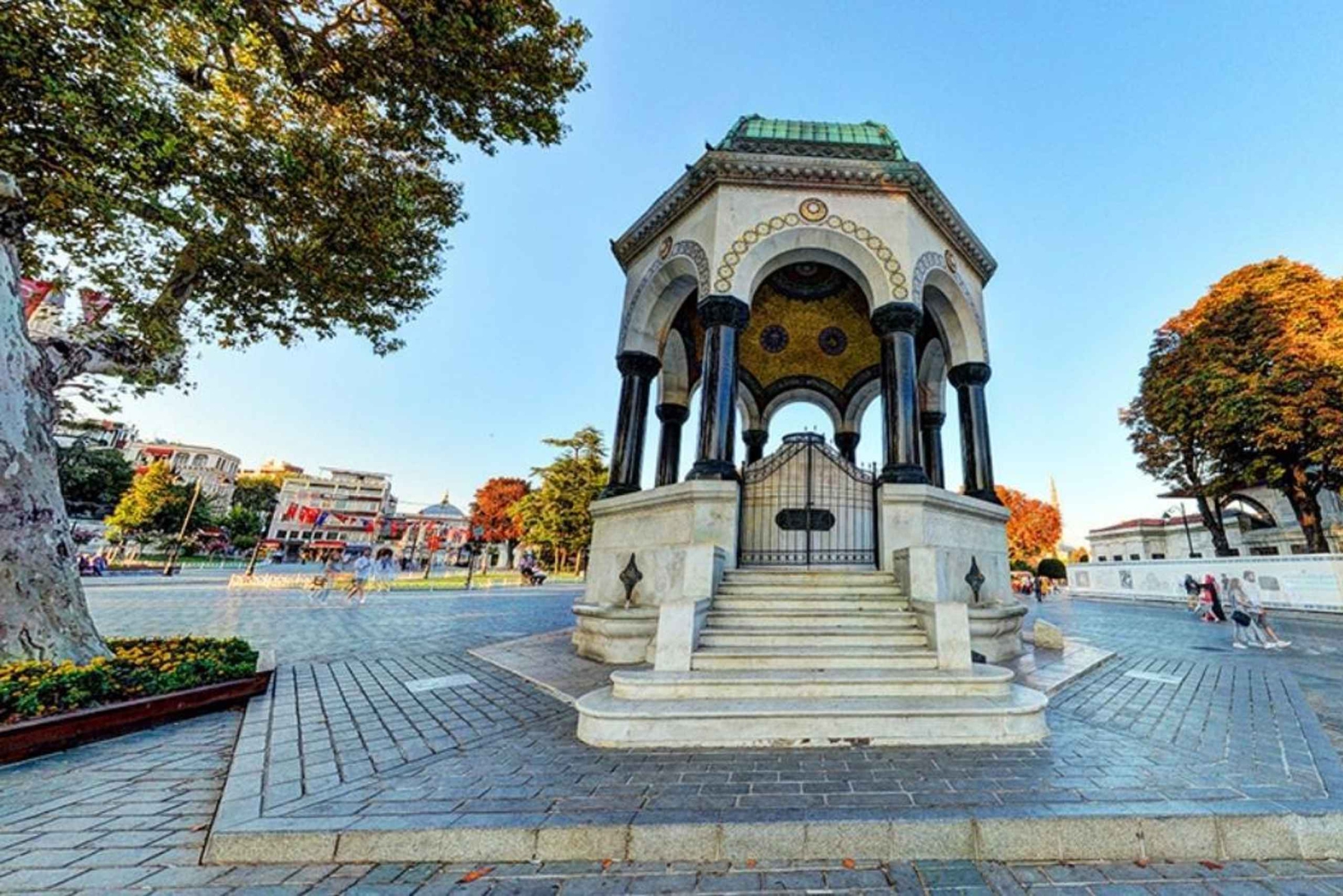 Istanbul: Private Guided Walking Tour