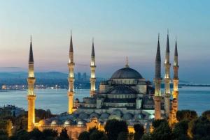 Istanbul: Private Guided Walking Tour