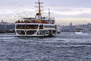 Istanbul:Private Layover Tour from Istanbul Airports&Hotels