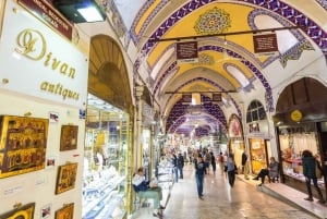 Istanbul: Private Layover Tour with Airport Transfers