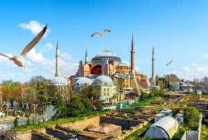 Istanbul: Private Layover Tour with Airport Transfers