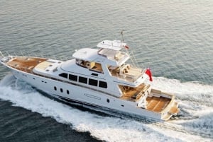 Istanbul: Private Luxury Yacht Cruise on the Bosporus
