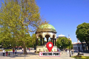 Istanbul: Private Sightseeing Tour in Multiple Languages