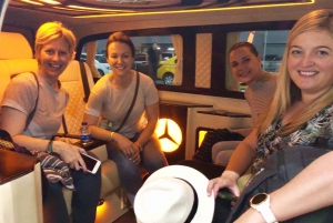 Istanbul: Private Transfer from/to Istanbul Airport (IST)