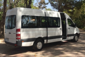 Istanbul: Private Transfer from/to Istanbul Airport (IST)