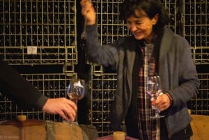 Istanbul: Private Wine Tasting Day Trip to Tekirdag