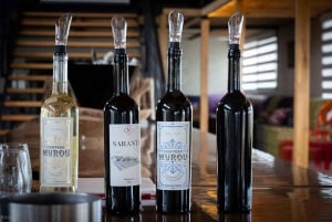 Istanbul: Private Wine Tasting Day Trip to Tekirdag