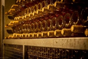 Istanbul: Private Wine Tasting Day Trip to Tekirdag