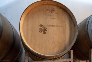 Istanbul: Private Wine Tasting Day Trip to Tekirdag