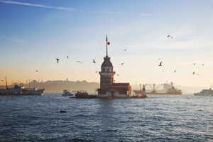 Istanbul:Private Yacht Cruise with Maiden's Tower Visit