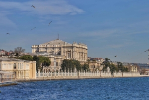 Istanbul:Private Yacht Cruise with Maiden's Tower Visit