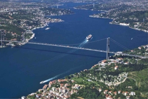 Istanbul:Private Yacht Cruise with Maiden's Tower Visit