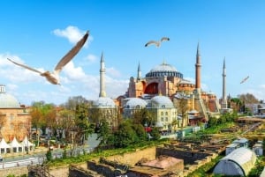Istanbul: Sabiha Gokcen Airport Arrival Transfer