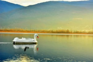 Istanbul: Sapanca Tour, Cable Car, Quad, & Zipline