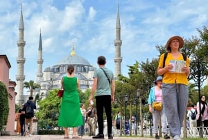 Istanbul Small-Group City and Secret Streets Tour with Guide