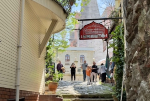 Istanbul Small-Group City and Secret Streets Tour with Guide