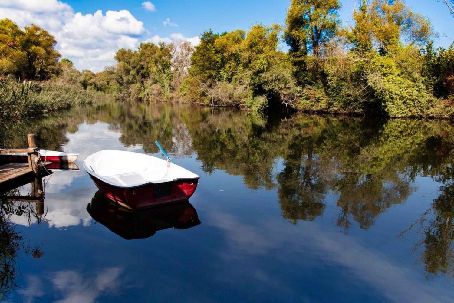 Istanbul: Sile and Agva Blacksea Villages Tour