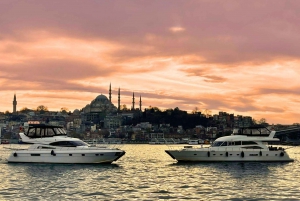 Istanbul: Small-Group Luxury Yacht Sunset Cruise w/ Snacks