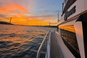 Istanbul: Sunset or Day Small-Group Yacht Cruise with Snacks